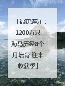 福建连江：1200万只海马历经8个月培育 迎来收获季