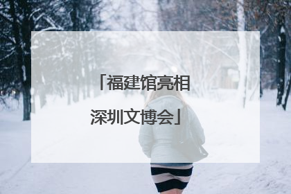 福建馆亮相深圳文博会