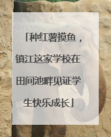 种红薯摸鱼，镇江这家学校在田间池畔见证学生快乐成长