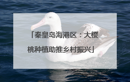 秦皇岛海港区：大樱桃种植助推乡村振兴