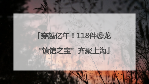 穿越亿年！118件恐龙“镇馆之宝”齐聚上海
