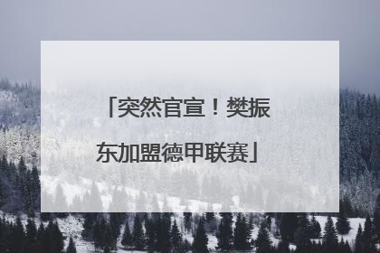 突然官宣！樊振东加盟德甲联赛