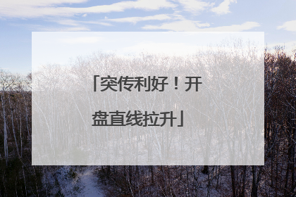 突传利好！开盘直线拉升