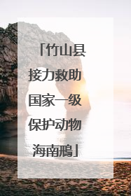 竹山县接力救助国家一级保护动物海南鳽