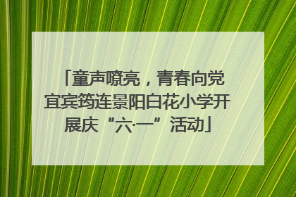 童声嘹亮，青春向党 宜宾筠连景阳白花小学开展庆“六·一”活动