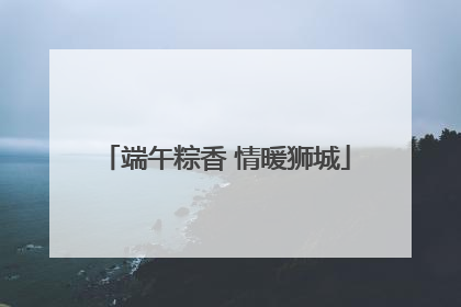 端午粽香 情暖狮城