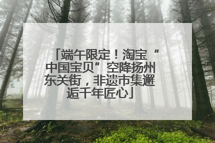 端午限定！淘宝“中国宝贝”空降扬州东关街，非遗市集邂逅千年匠心