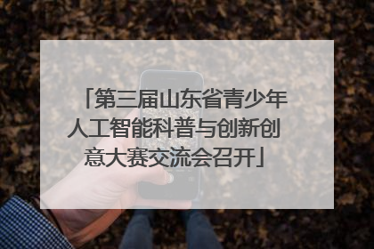 第三届山东省青少年人工智能科普与创新创意大赛交流会召开