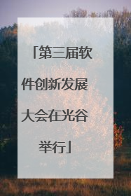 第三届软件创新发展大会在光谷举行