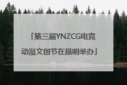 第三届YNZCG电竞动漫文创节在昆明举办