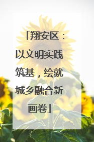 翔安区：以文明实践筑基，绘就城乡融合新画卷
