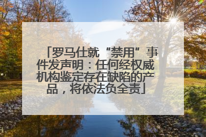 罗马仕就“禁用”事件发声明：任何经权威机构鉴定存在缺陷的产品，将依法负全责