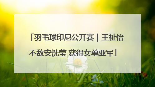 羽毛球印尼公开赛｜王祉怡不敌安洗莹 获得女单亚军