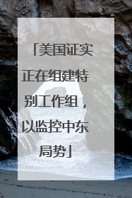 美国证实正在组建特别工作组，以监控中东局势