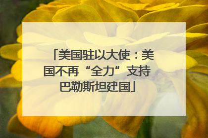 美国驻以大使：美国不再“全力”支持巴勒斯坦建国