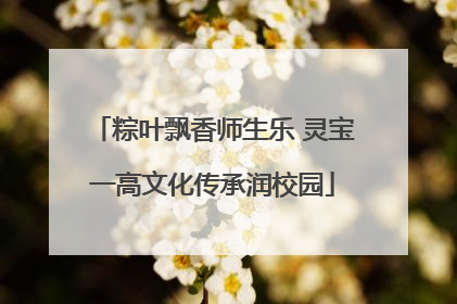 粽叶飘香师生乐 灵宝一高文化传承润校园