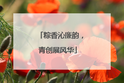 粽香沁廉韵，青创展风华