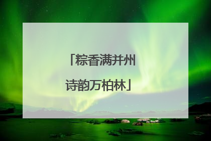 粽香满并州 诗韵万柏林