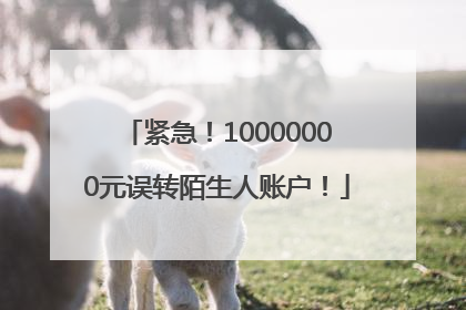 紧急！10000000元误转陌生人账户！