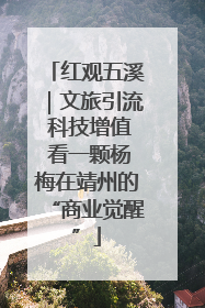红观五溪｜文旅引流 科技增值 看一颗杨梅在靖州的“商业觉醒”