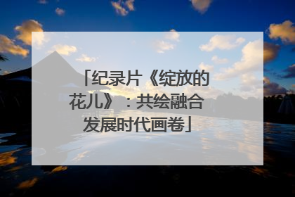 纪录片《绽放的花儿》：共绘融合发展时代画卷