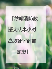 纱帽消防救援大队半小时高效处置商铺蛇患