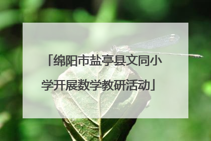 绵阳市盐亭县文同小学开展数学教研活动