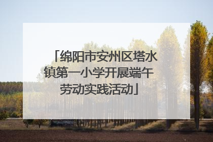 绵阳市安州区塔水镇第一小学开展端午劳动实践活动