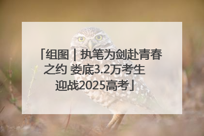 组图｜执笔为剑赴青春之约 娄底3.2万考生迎战2025高考