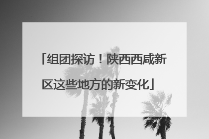 组团探访！陕西西咸新区这些地方的新变化
