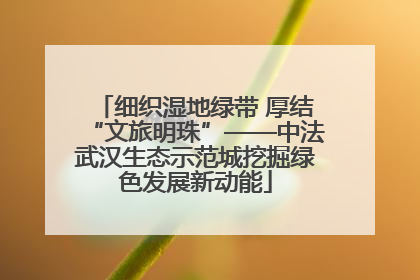 细织湿地绿带 厚结“文旅明珠”——中法武汉生态示范城挖掘绿色发展新动能