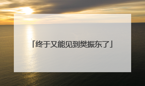 终于又能见到樊振东了