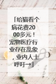 给猫看个病花费2000多元！宠物医疗行业存在乱象，业内人士呼吁→