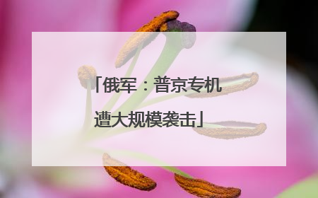 俄军：普京专机遭大规模袭击