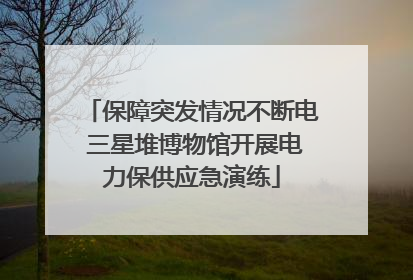 保障突发情况不断电 三星堆博物馆开展电力保供应急演练
