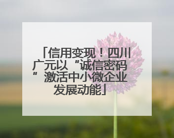 信用变现！四川广元以“诚信密码”激活中小微企业发展动能