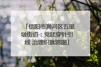 信阳市浉河区五里墩街道：党建穿针引线 治理织就锦图