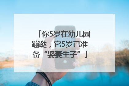 你5岁在幼儿园蹦跶，它5岁已准备“娶妻生子”