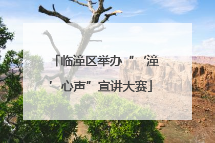 临潼区举办“‘潼’心声”宣讲大赛
