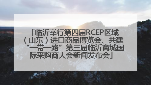 临沂举行第四届RCEP区域（山东）进口商品博览会、共建“一带一路”第三届临沂商城国际采购商大会新闻发布会