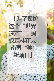为了保护这个“世界遗产”，蚂蚁森林在云南再“种”新项目
