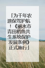 为千年农遗保驾护航！《丽水市青田稻鱼共生系统保护发展条例》正式施行