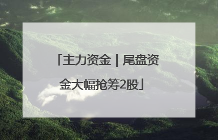 主力资金｜尾盘资金大幅抢筹2股