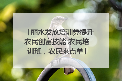 丽水发放培训券提升农民创富技能 农民培训班，农民来点单