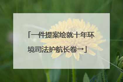 一件提案绘就十年环境司法护航长卷→