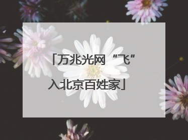 万兆光网“飞”入北京百姓家