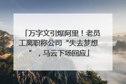 万字文引爆阿里！老员工离职称公司“失去梦想”，马云下场回应