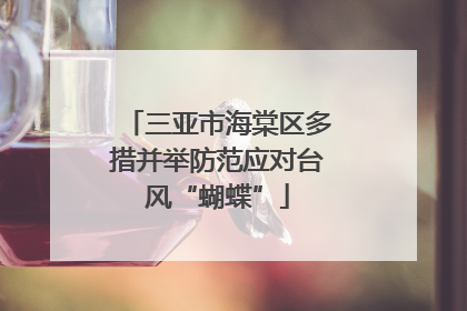 三亚市海棠区多措并举防范应对台风“蝴蝶”