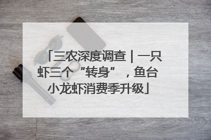 三农深度调查｜一只虾三个“转身”，鱼台小龙虾消费季升级
