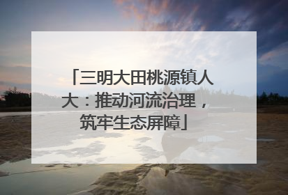 三明大田桃源镇人大：推动河流治理，筑牢生态屏障
